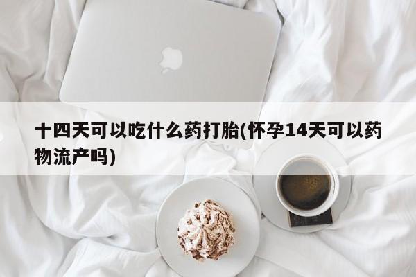 堕胎药如何购买十四天可以吃什么药打胎(怀孕14天可以药物流产吗)