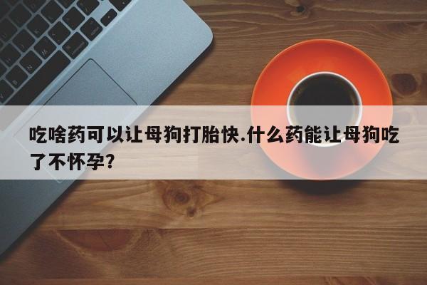 堕胎药如何购买吃啥药可以让母狗打胎快.什么药能让母狗吃了不怀孕？